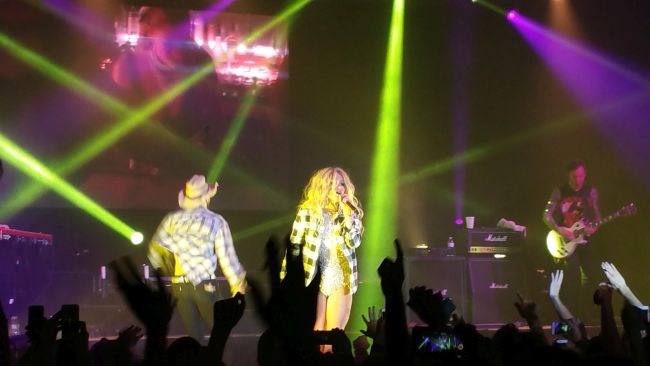Ke$ha Concert | Uncustomary Art