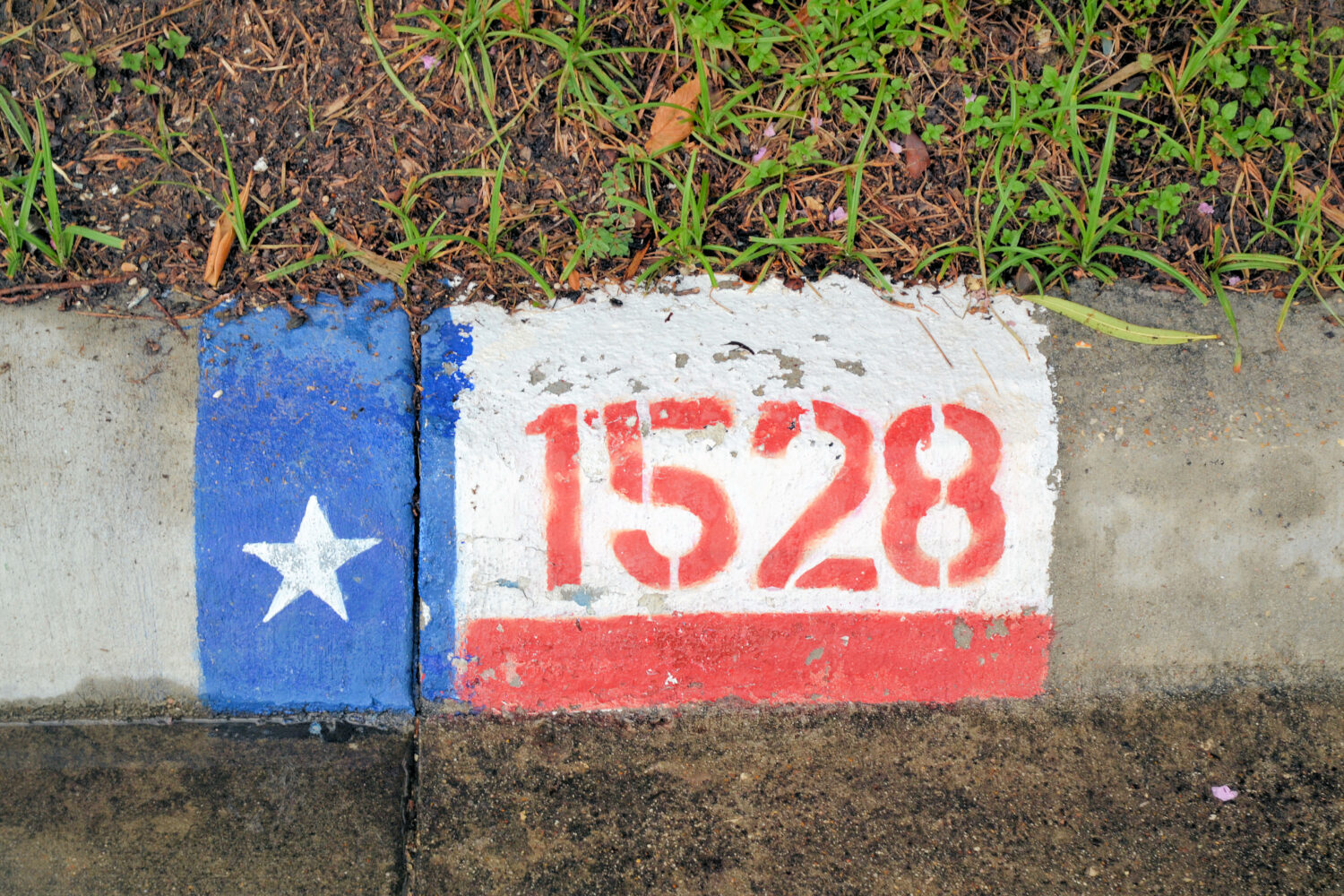 texas red white and blue address