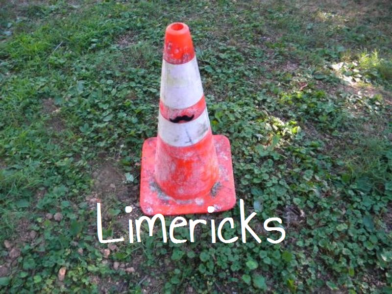 How To Write A Limerick
