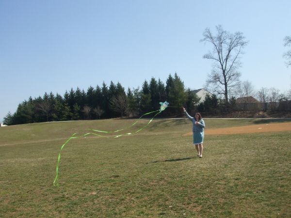 gorc kites (6)