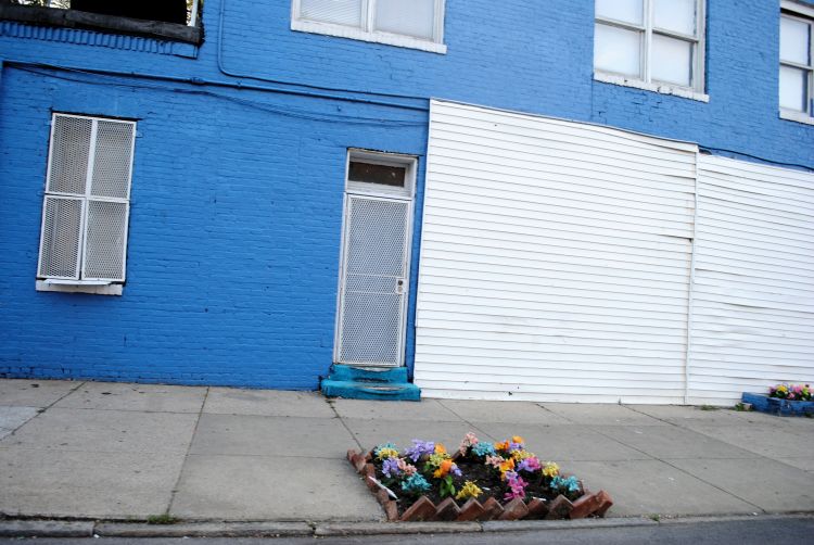 blue building flowers weekly happiness uncustomary art