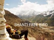 shanti free bird banner
