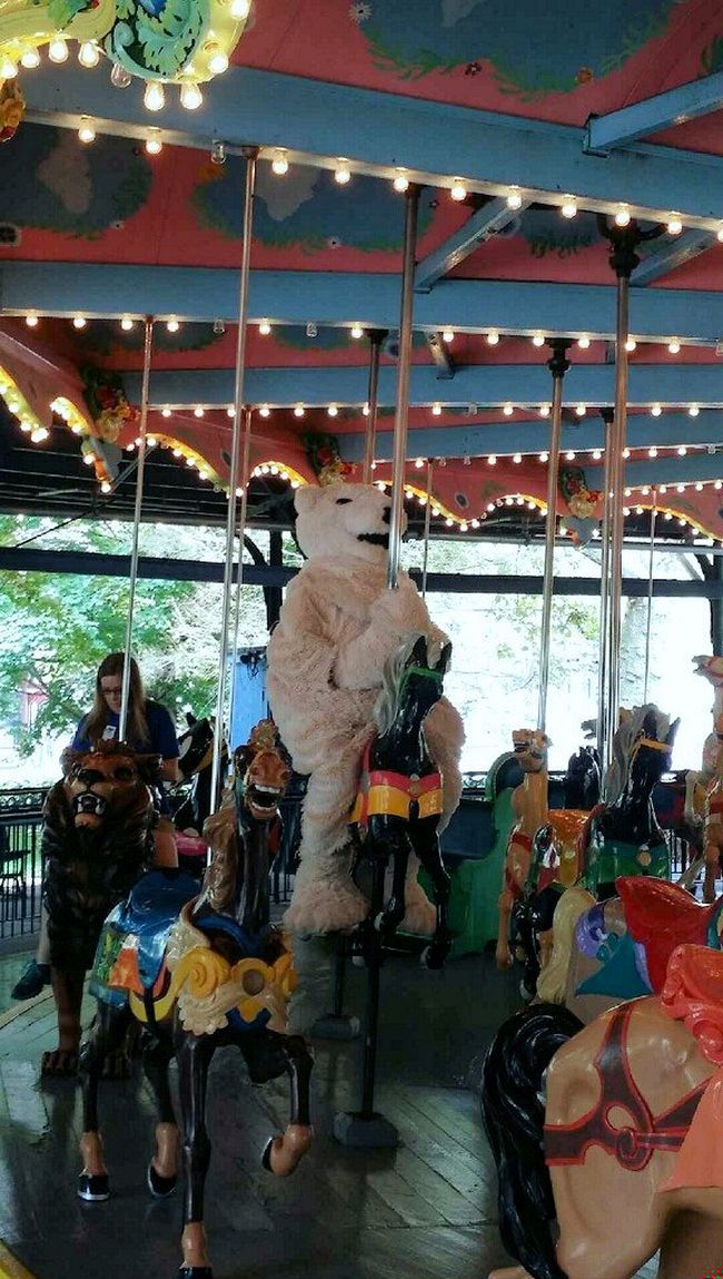 Polar Bear Riding A Carousel