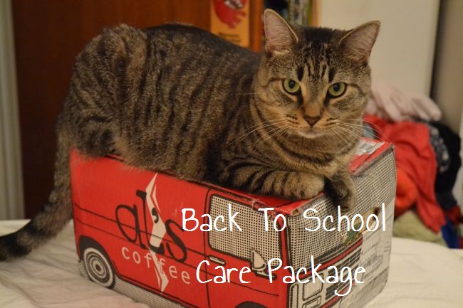 Back To School Care Package | Uncustomary Art