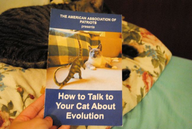 How To Talk To Your Cat About Evolution