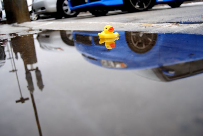 Rubber Ducky Day | Uncustomary Art