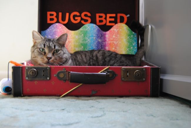 Bug’s Bed, Bed Bugs – Uncustomary Art (2)
