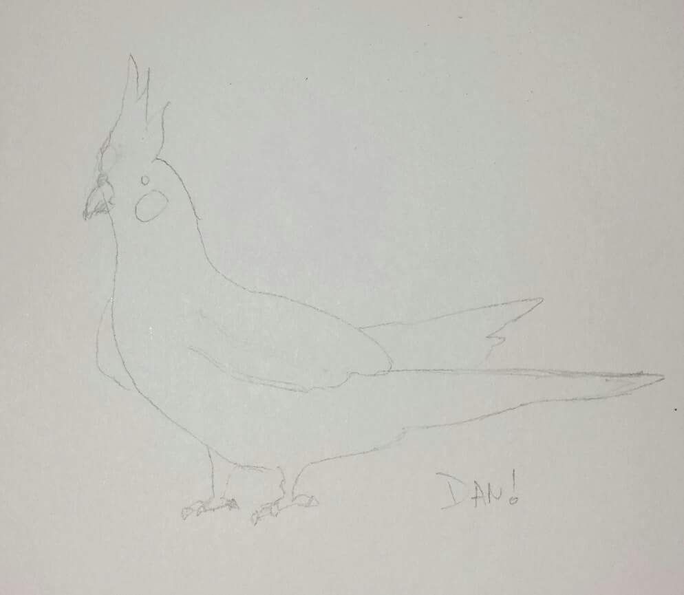Draw A Bird Day | Uncustomary
