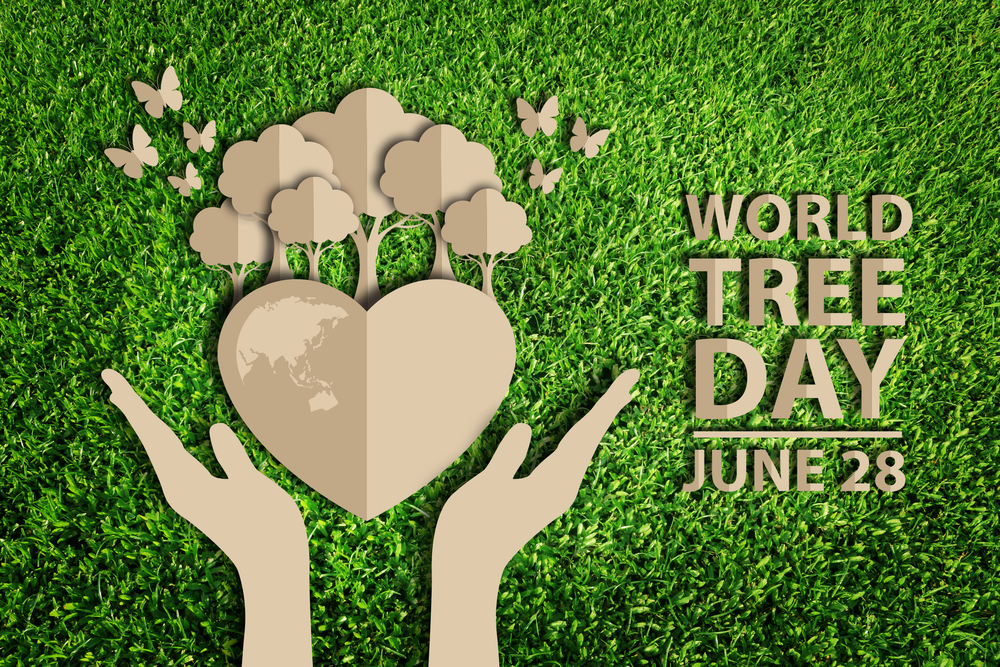 National Tree Day All Around The World | Uncustomary