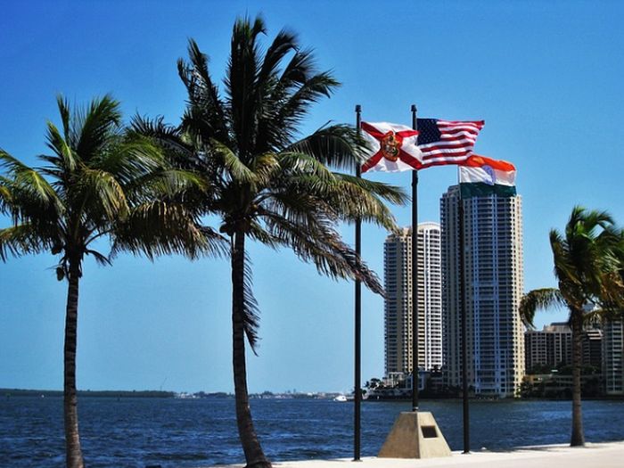 Miami Attractions & Activities To Suit Every Taste | Uncustomary