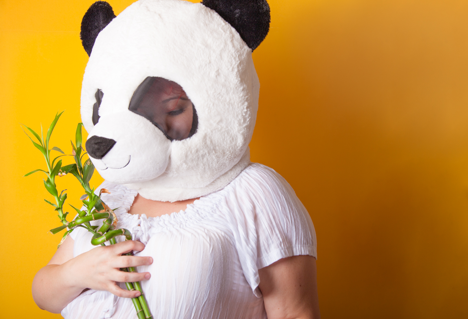 10 Ways To Celebrate Panda Day | Uncustomary