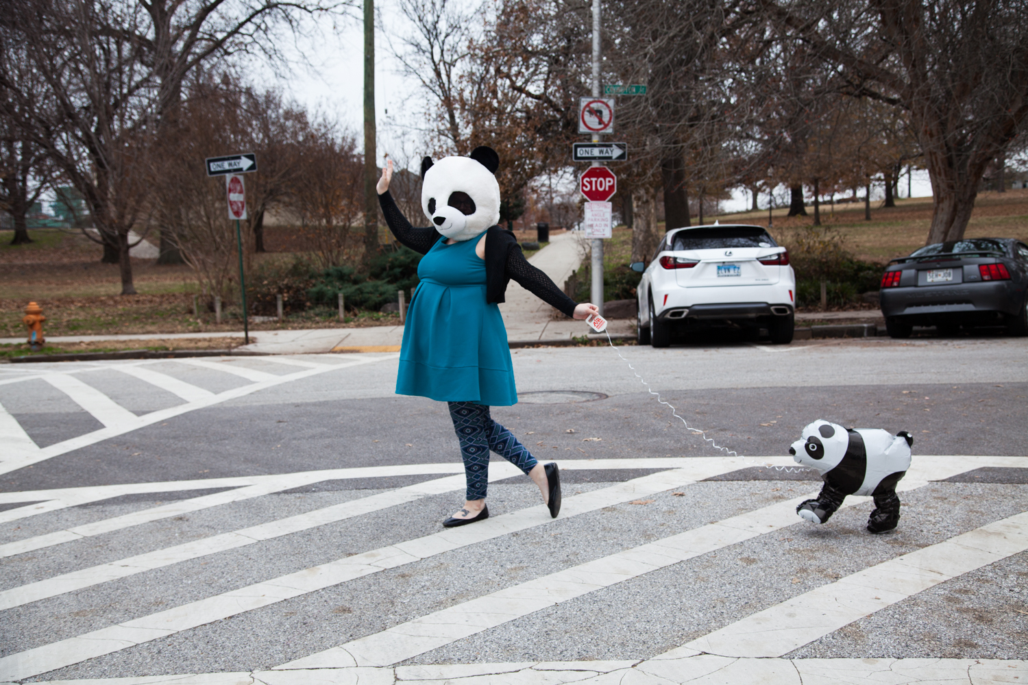 10 Ways To Celebrate Panda Day | Uncustomary