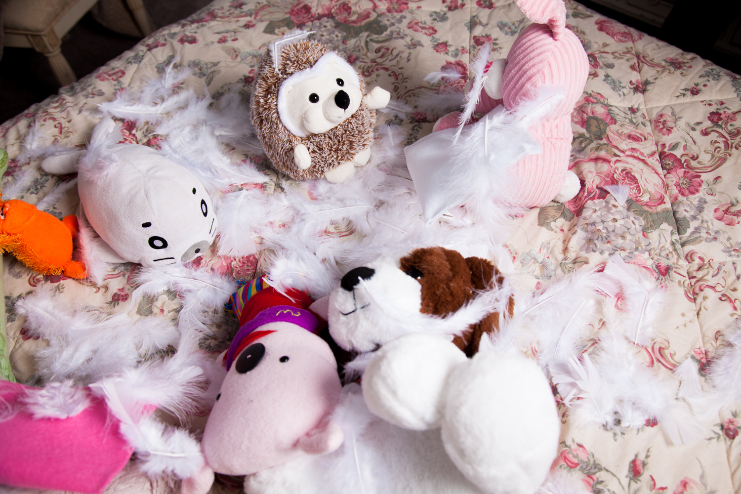 Stuffed Animal Sleepover 2019 | Uncustomary