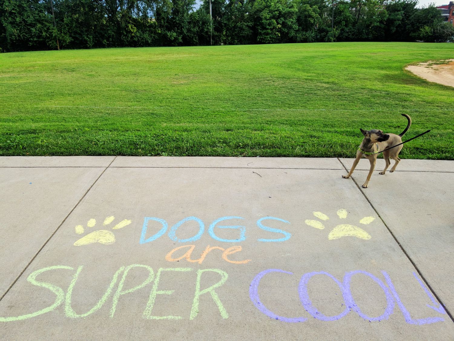 Dogs Are Super Cool Guerrilla Art | Uncustomary