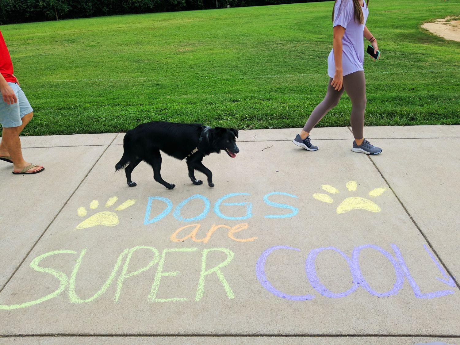 Dogs Are Super Cool Guerrilla Art – Uncustomary (3)