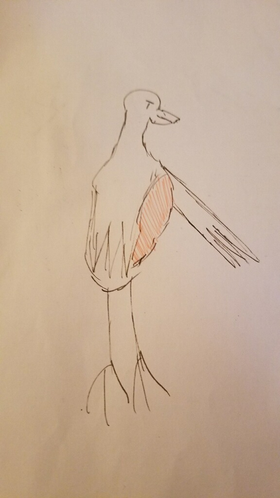 Draw A Bird Day 2020 – Uncustomary (45)