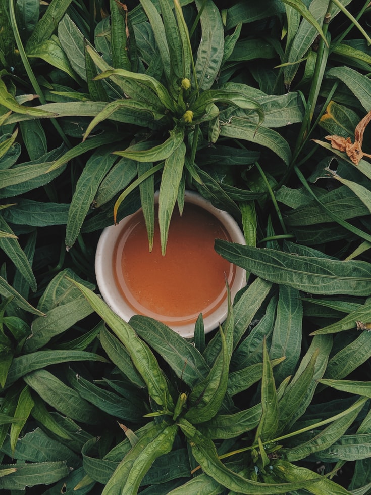 The Benefits Of Making Marijuana Tea