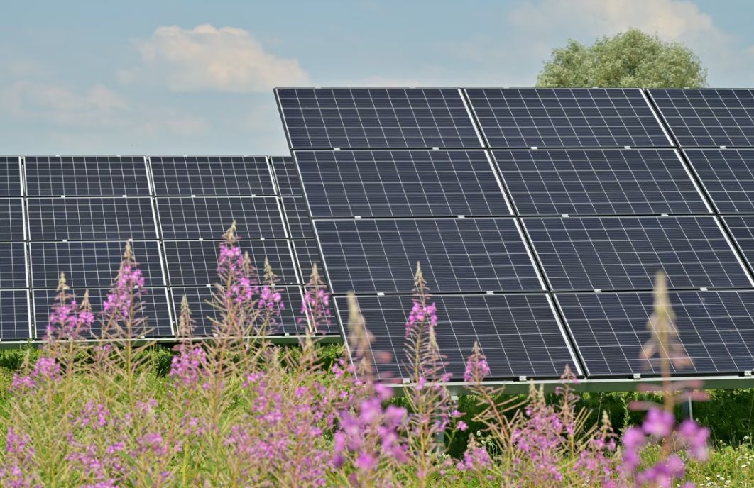 Solar Reviews Do Solar Panels Work Well In Oregon – Uncustomary