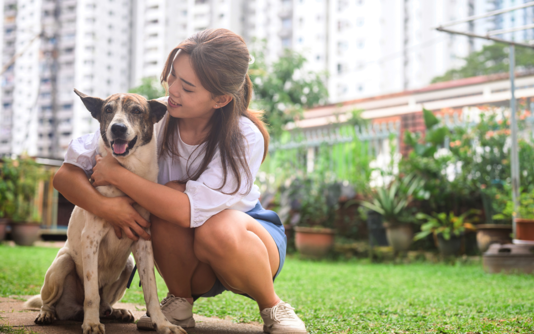 Pet Therapy Programs on College Campuses