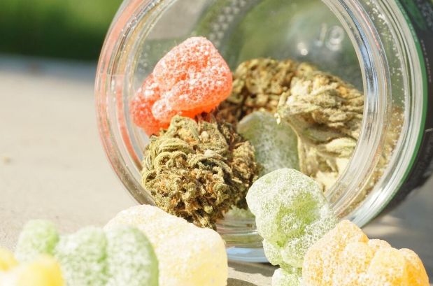 Exploring the Best Gummies Made from Cannabis