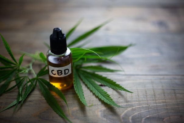Exploring the Market Trends: The Growing Popularity of Wholesale CBD Products