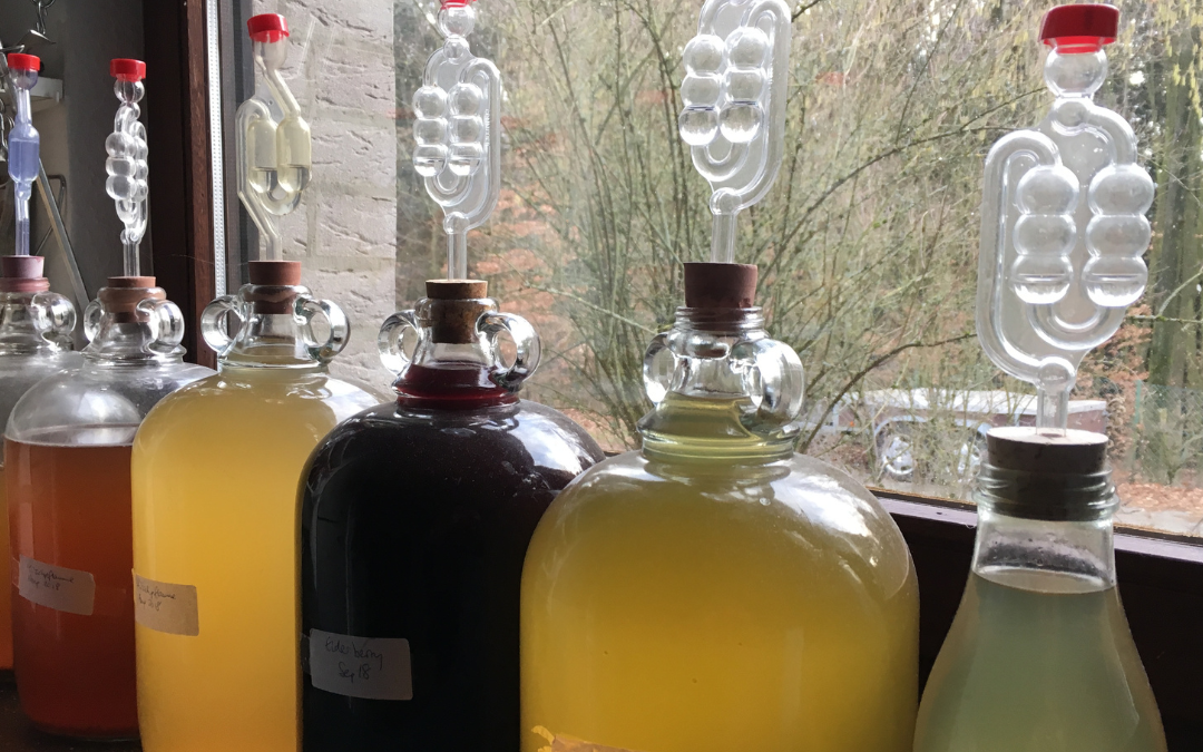 Home Brew Wine Kits: A Journey with The Home Brew Shop