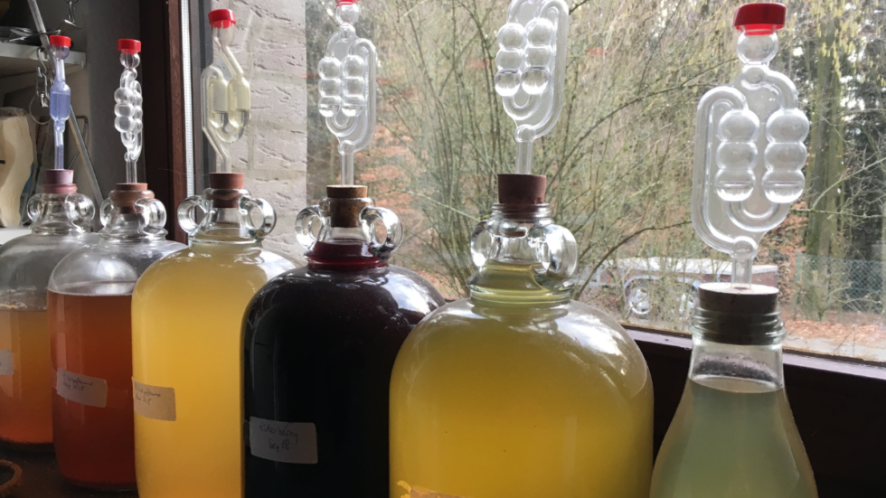Home Brew Wine Kits A Journey with The Home Brew Shop Uncustomary