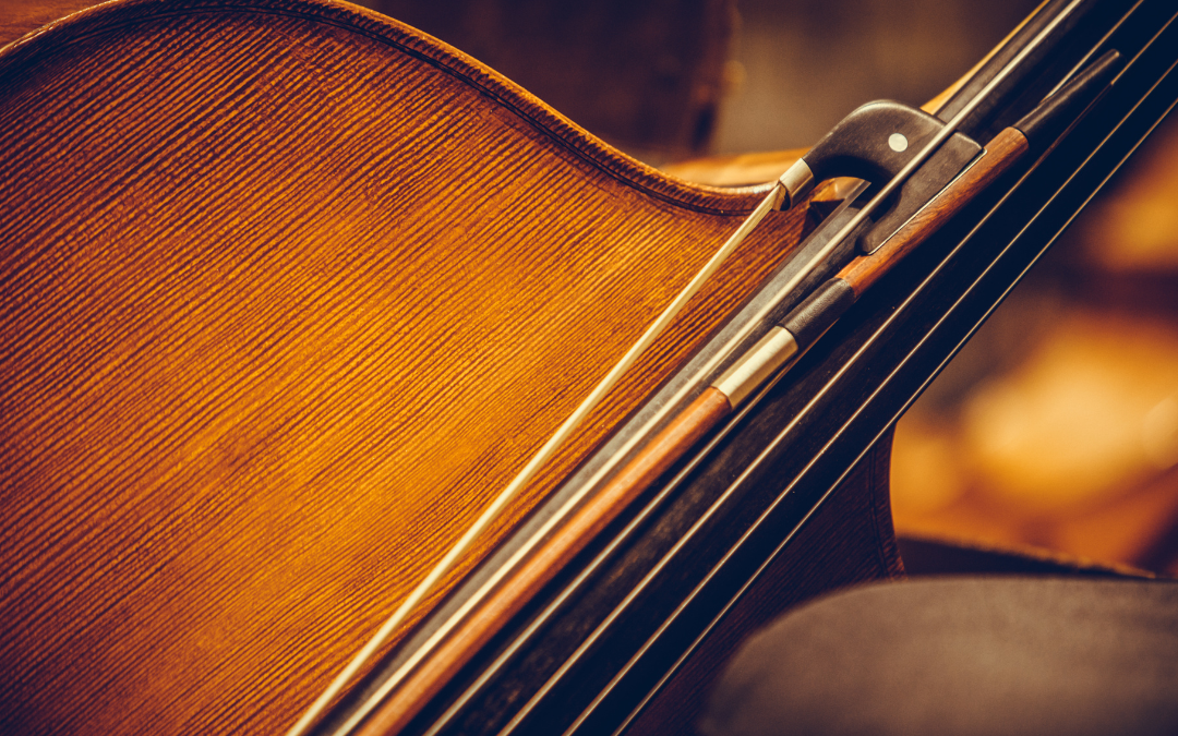 How to Assess the Craftsmanship of Double Bass Bows