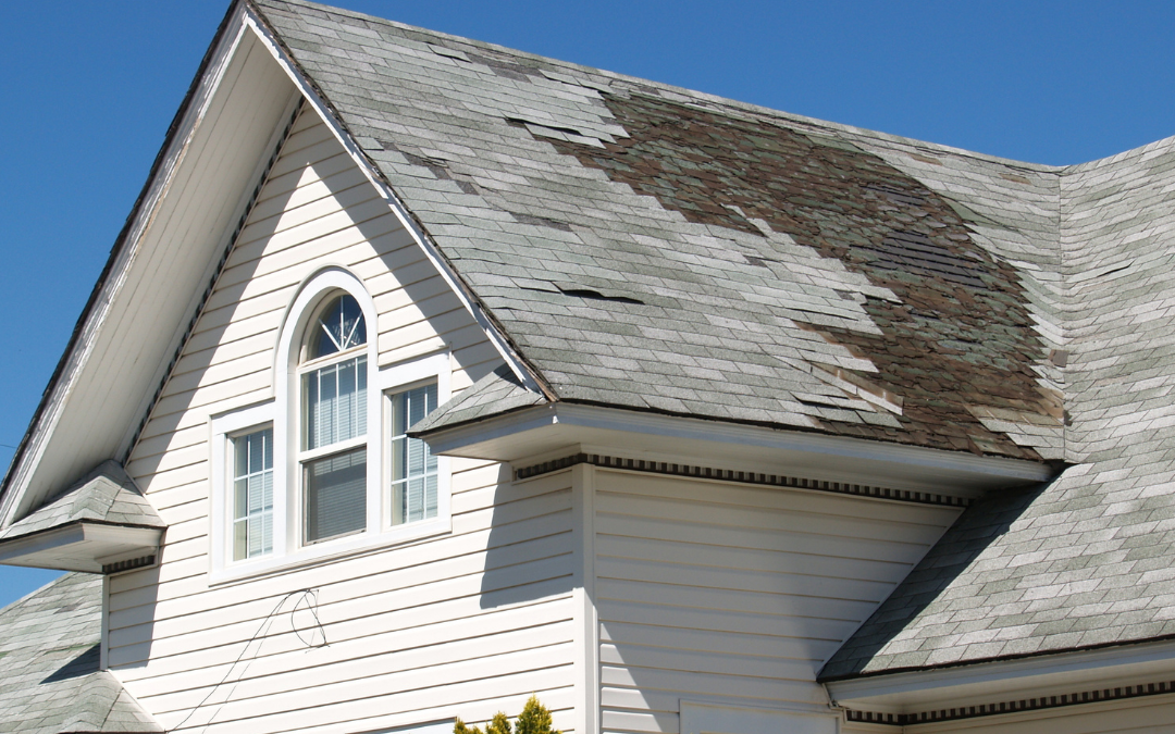 Your Roof’s Worst Enemies: What Causes the Most Damage Over Time?