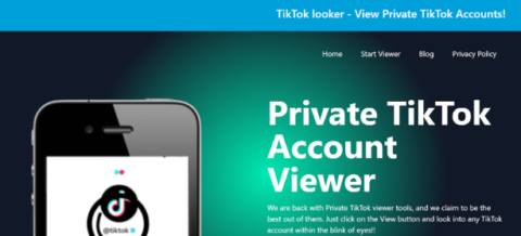 How to View TikTok Profiles Anonymously: A Detailed Guide - Merriment