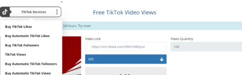 How to View TikTok Profiles Anonymously: A Detailed Guide - Merriment