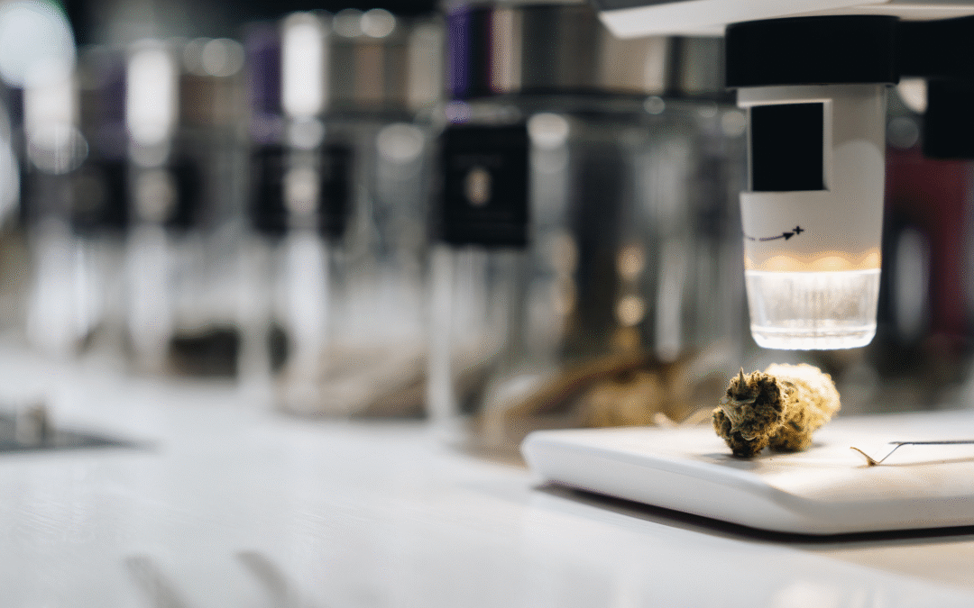 Code to Cannabis: How Tech Is Transforming the Cannabis Industry