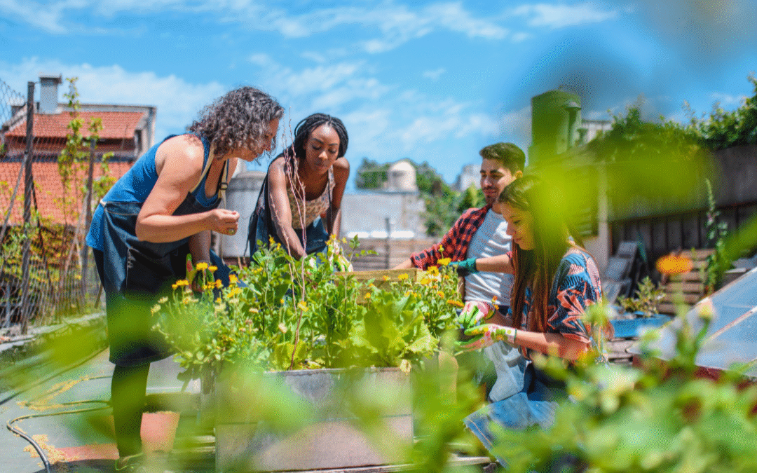 The Role of Community Gardens in Enhancing Lifestyle and Health