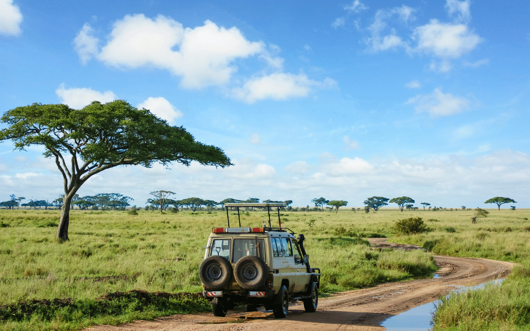 How to Choose the Right Safari Tour in Tanzania for Your Budget