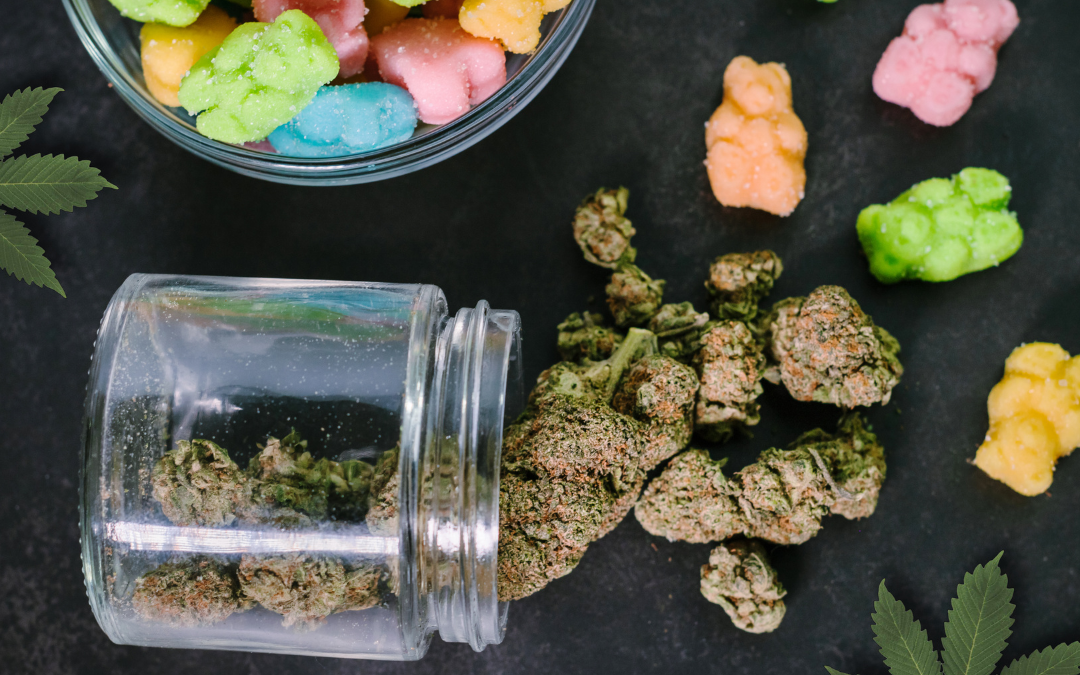 Cannabis Options: A Complete Guide to Products and Uses