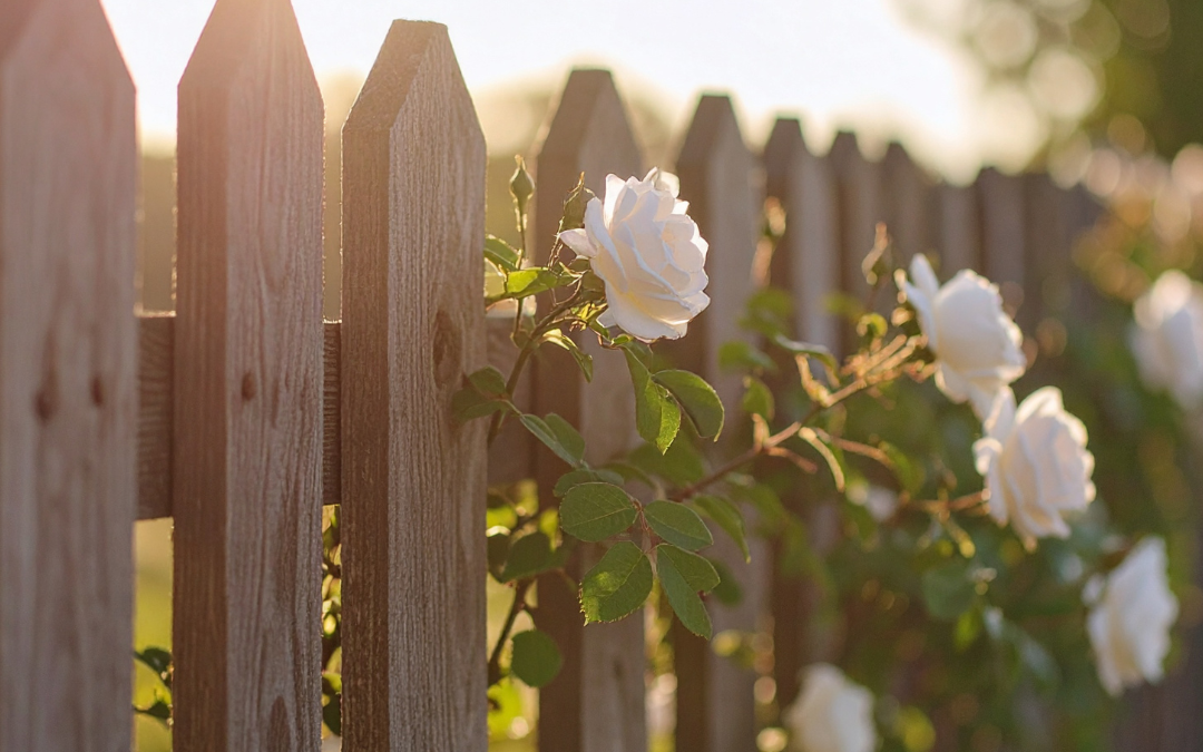 How To Choose Fencing That Balances Privacy And Appearance