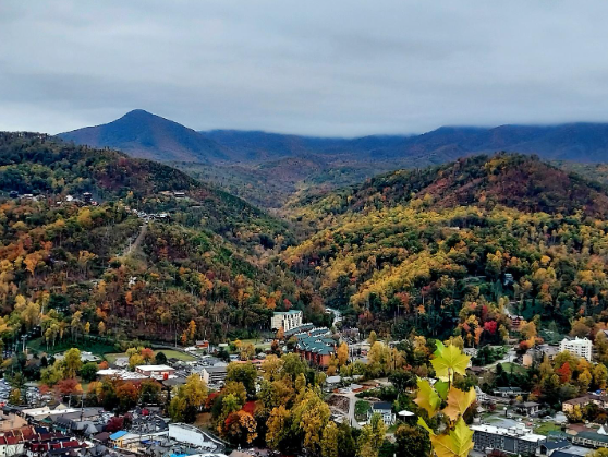https://www.shutterstock.com/image-photo/fall-foliage-skybridge-park-gatlinburg-tennessee-2432393177