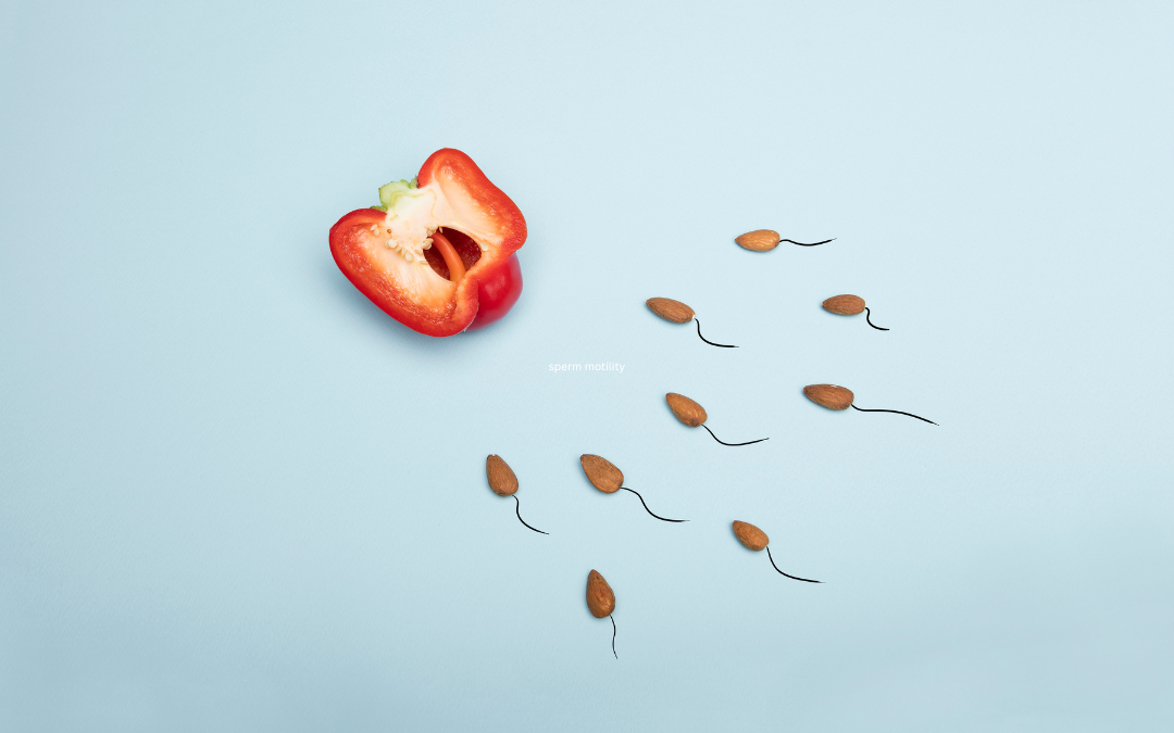 Sperm Motility Test at Home: The Everyday Factors That Move the Result, and How Men Read It