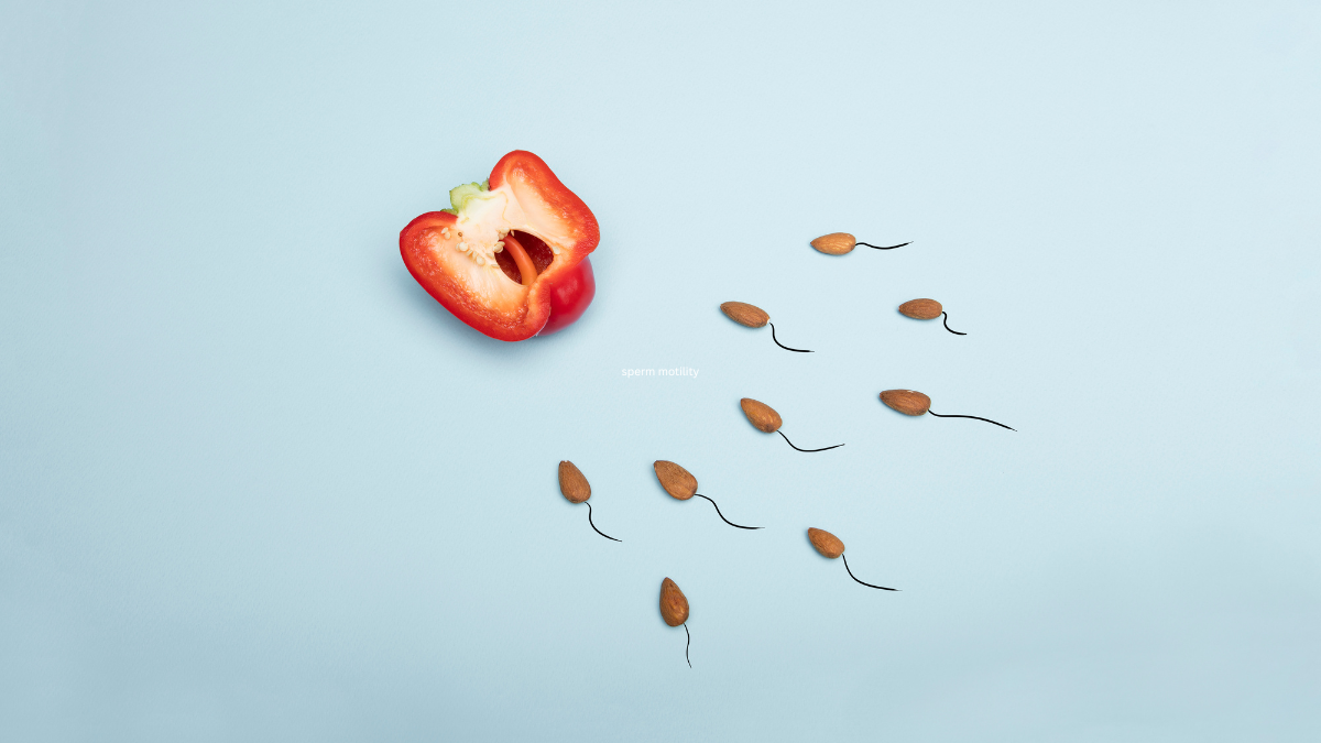 Sperm Motility Test at Home The Everyday Factors That Move the Result, and How Men Read It