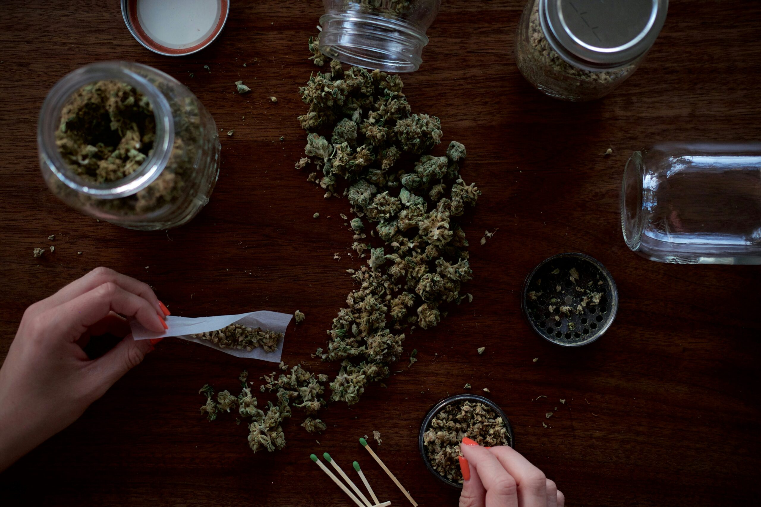 The Quiet Joy of Tending Something Green Why Growing Is the Coziest Hobby You’re Not Doing Yet