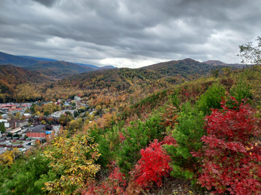 Travel Like a Pro Preparation Tips for a Better Journey source: https://www.shutterstock.com/image-photo/fall-foliage-skybridge-park-gatlinburg-tennessee-2432393171