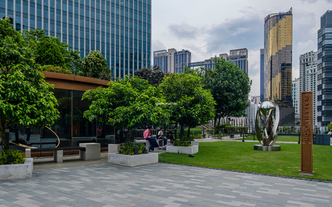 Why Urban Trees Are One of the Best Investments a City Can Make