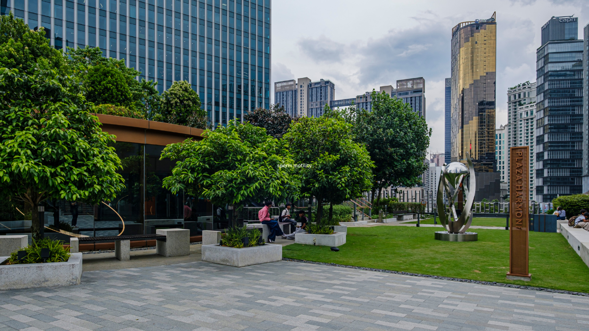 Why Urban Trees Are One of the Best Investments a City Can Make