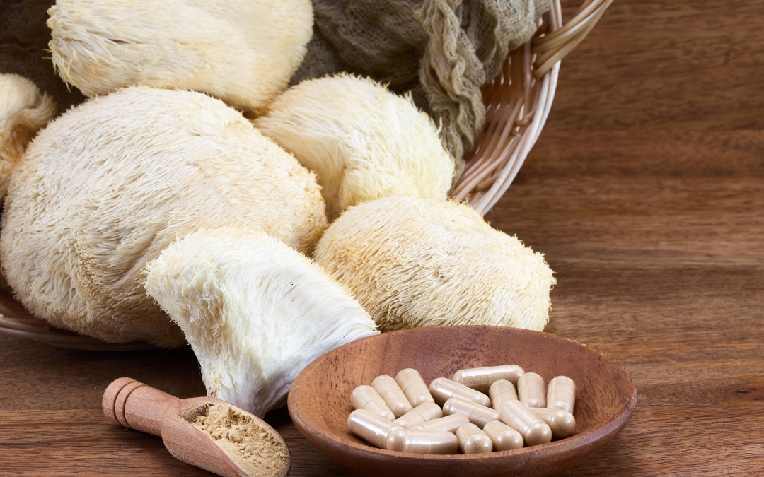 Everyday Applications of Lion’s Mane for Canine Wellness