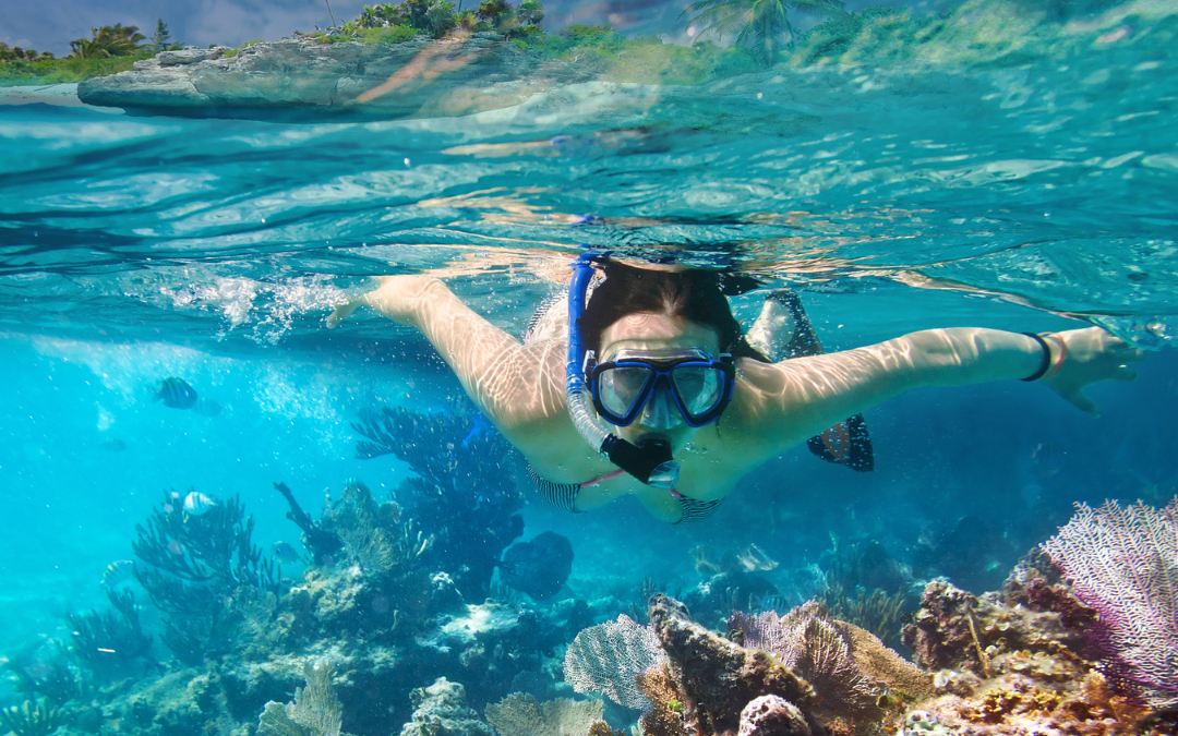 Explore More Than the Beach With a Pre-Booked Snorkeling Adventure