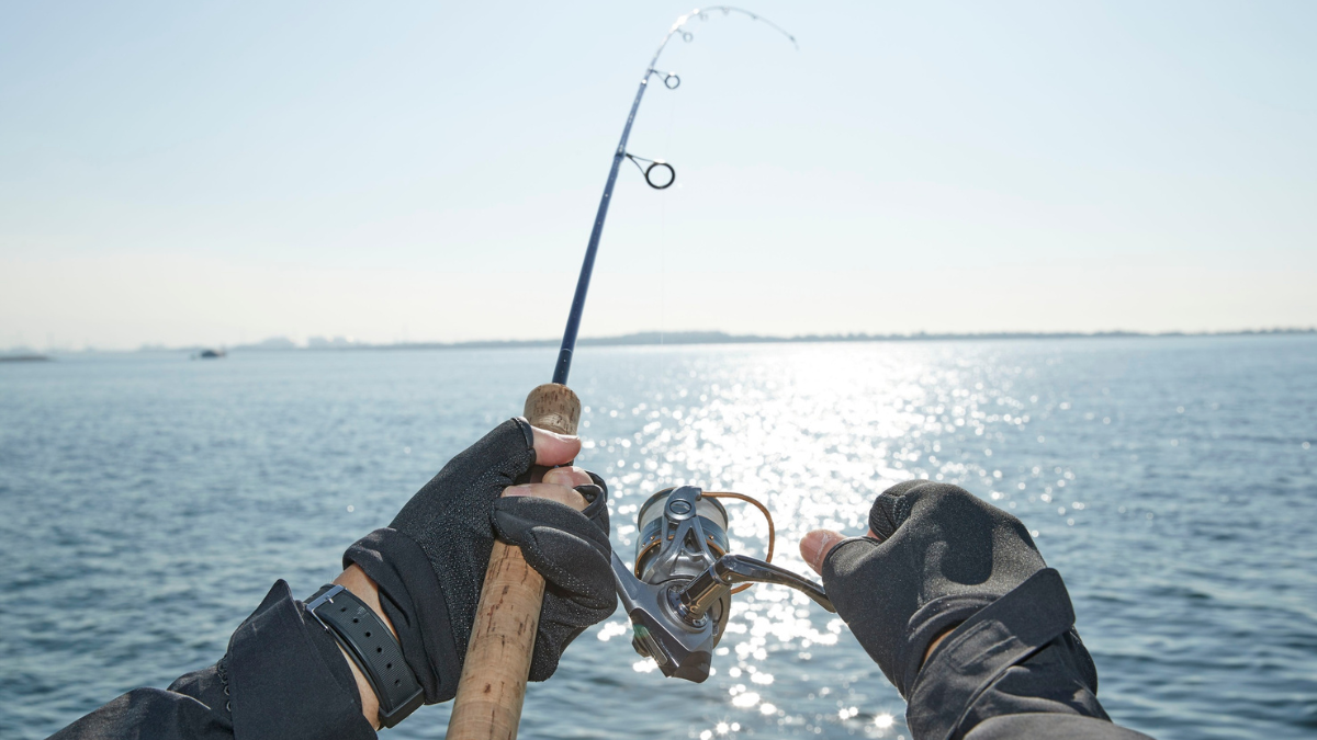 How to Have Fun on Your Fishing Trip