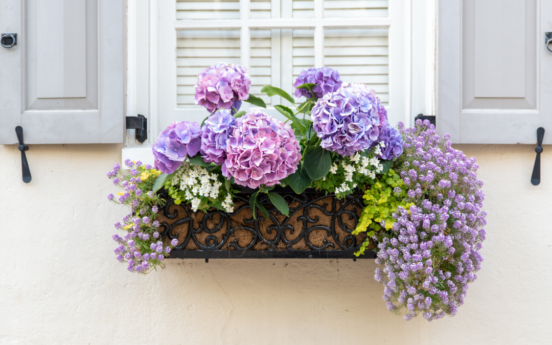 Stylish Window Decor Ideas for Homes
