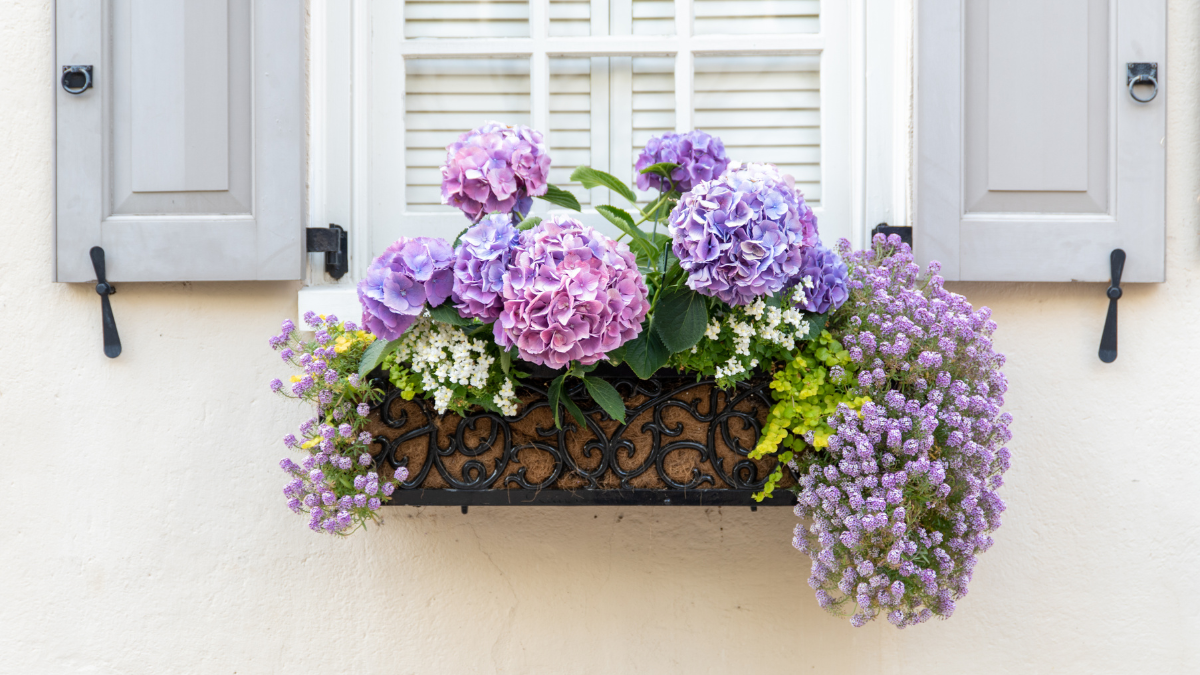 Stylish Window Decor Ideas for Homes