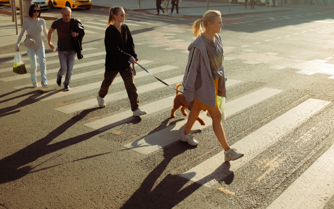 When a Routine Walk Ends in a Life-Changing Collision