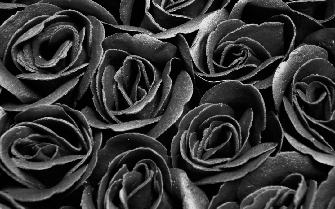 Black Roses for Delivery: What They Mean and When to Send Them